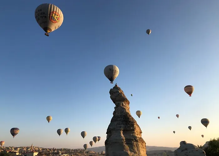 Gerdis Evi Готель 2*